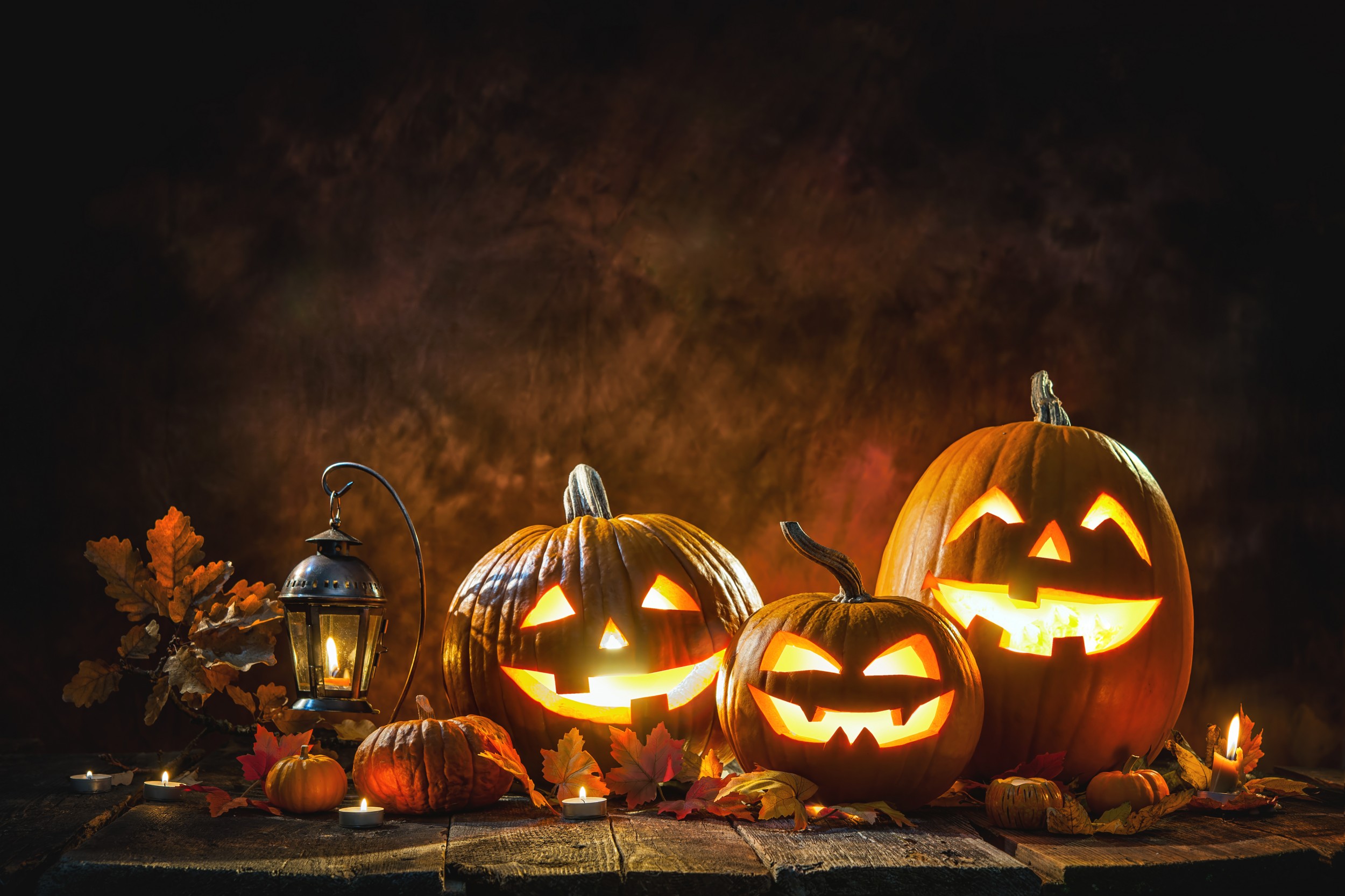 Get stuck into the big pumpkin carve with Applegate Properties!