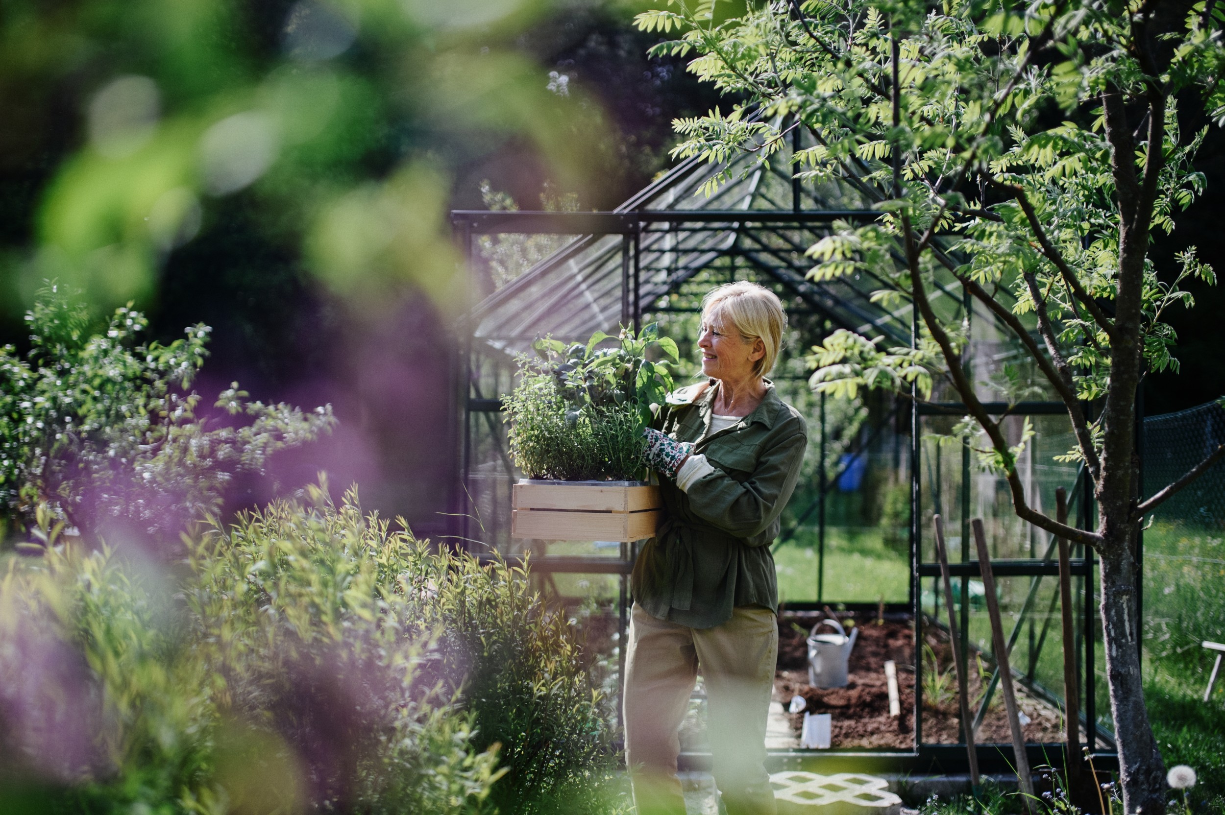 Planting out your winter garden