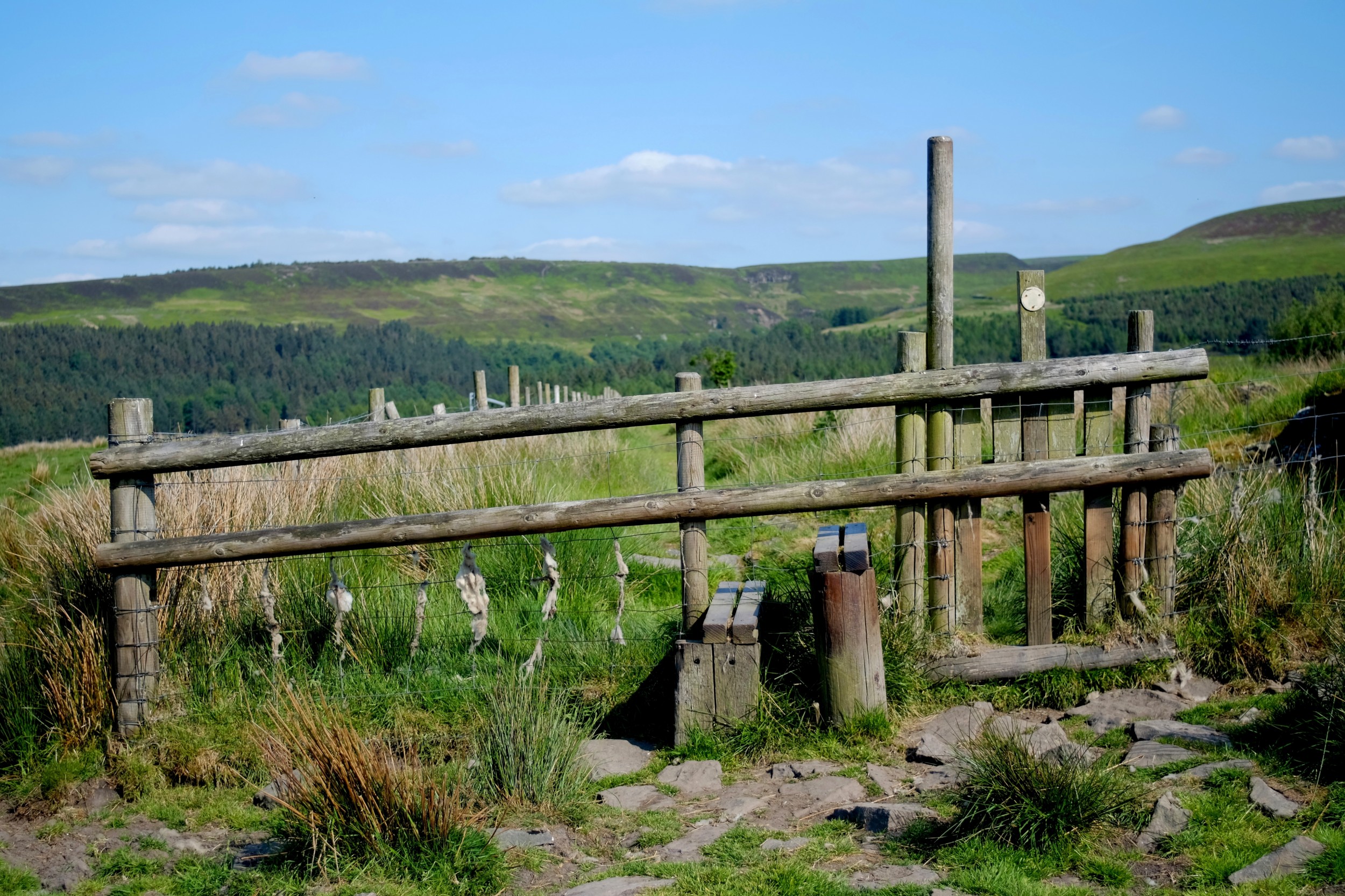 Explore the Natural Beauty: Top 5 Walks in Holmfirth - A Guide by Applegate Properties, the Best Estate Agent in Holmfirth as awarded by The British Property Awards