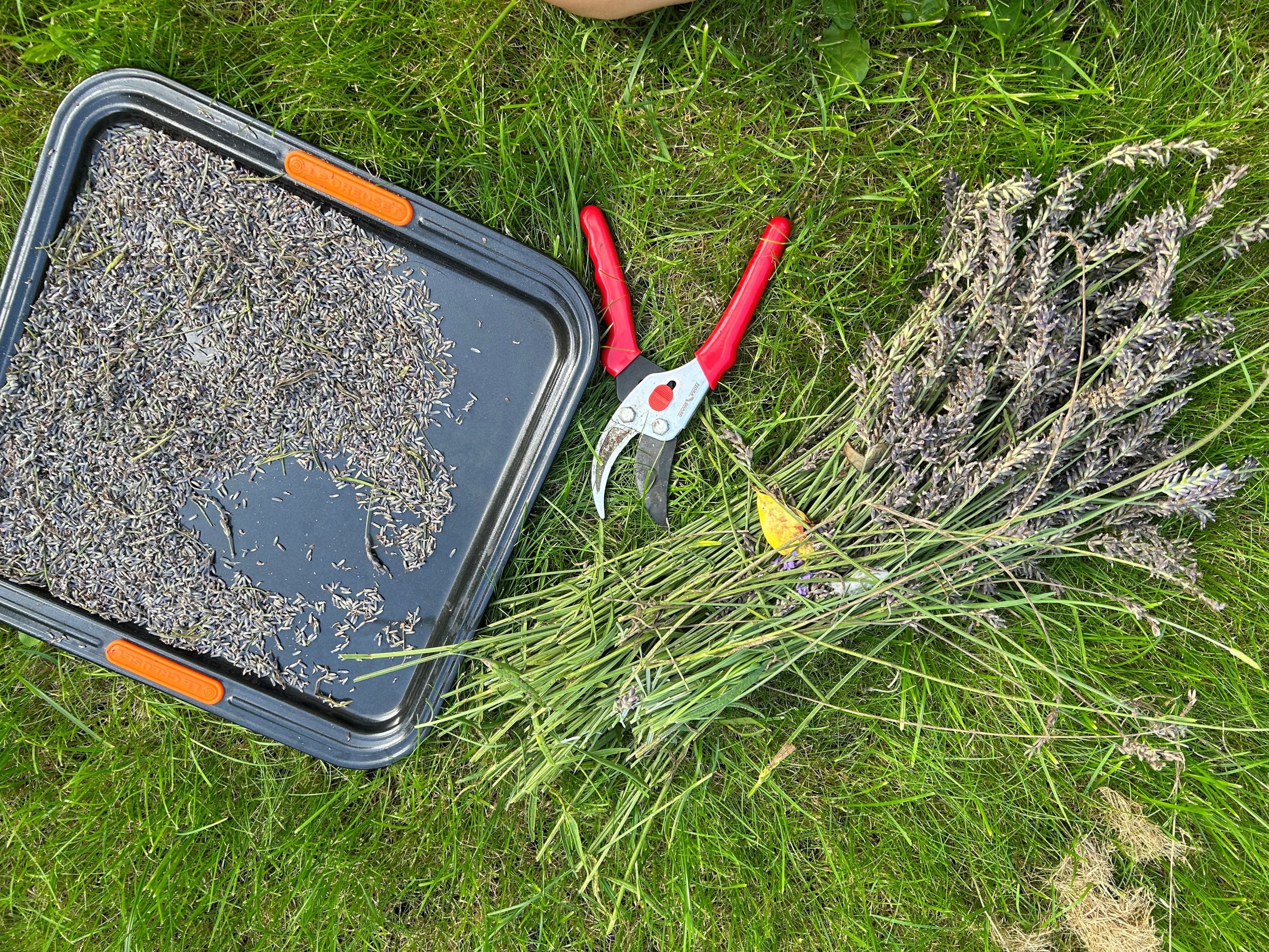 Discover the Magic of Holmfirth Lavender: A Homemade Soap Guide