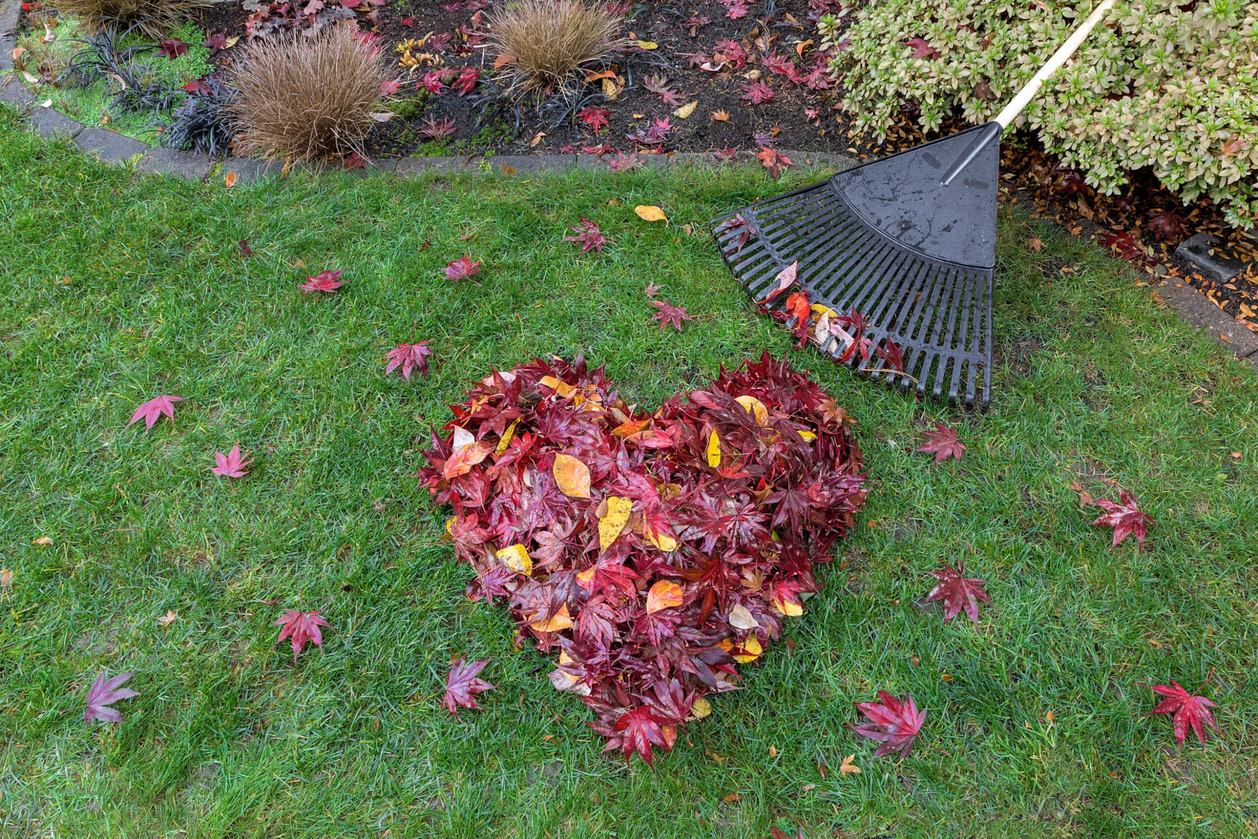 Getting your garden autumn ready!