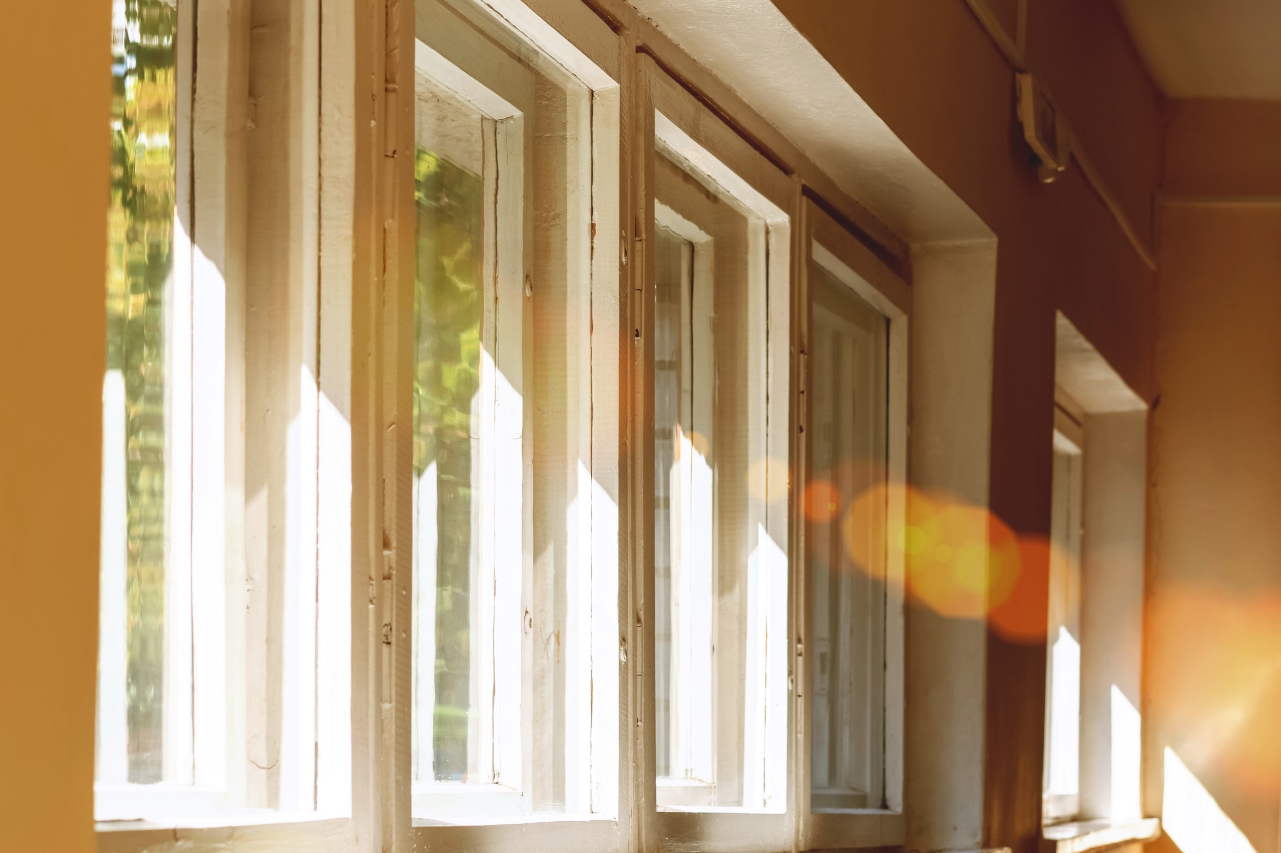 Welcoming the Light: How February's Brighter Days Enrich Our Lives