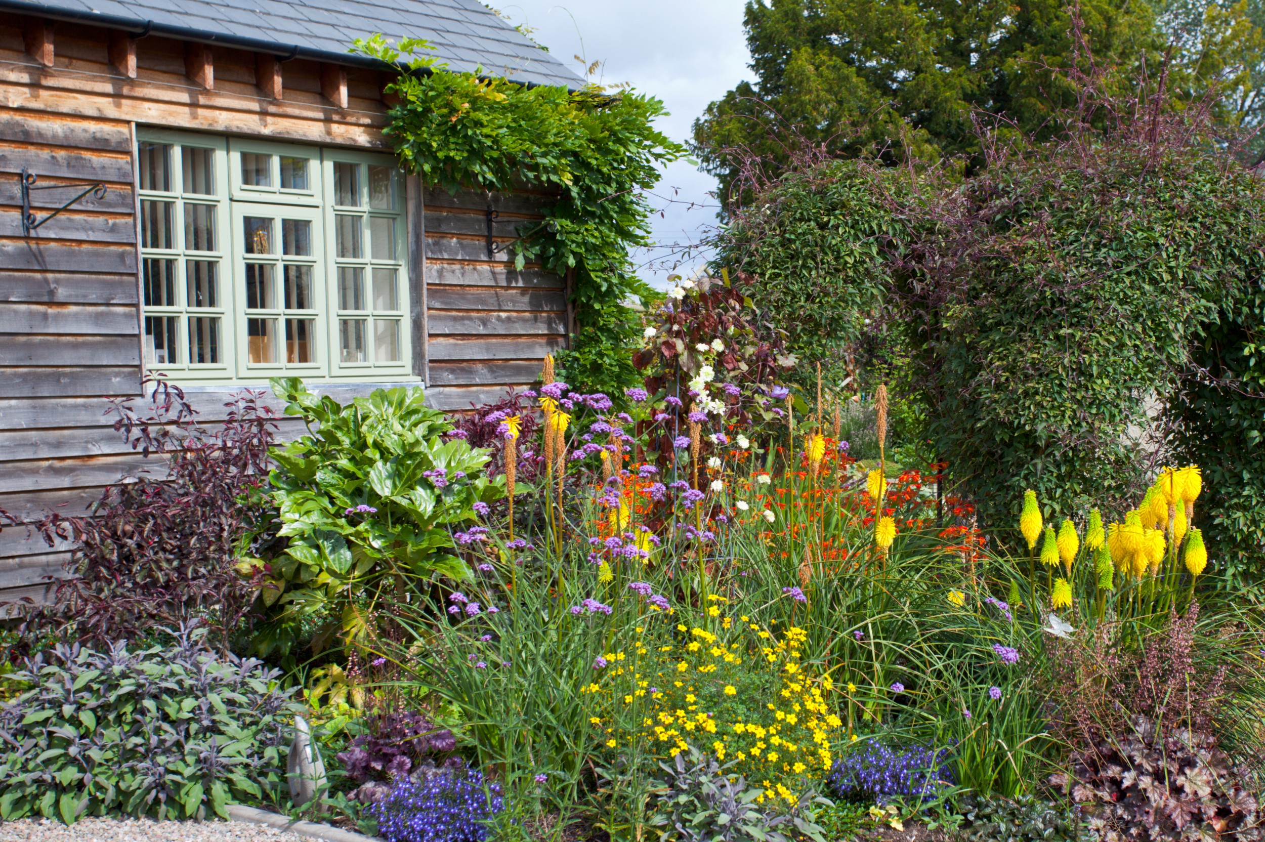 February's Flourish: Wild Plants and Garden Tips for Yorkshire Residents