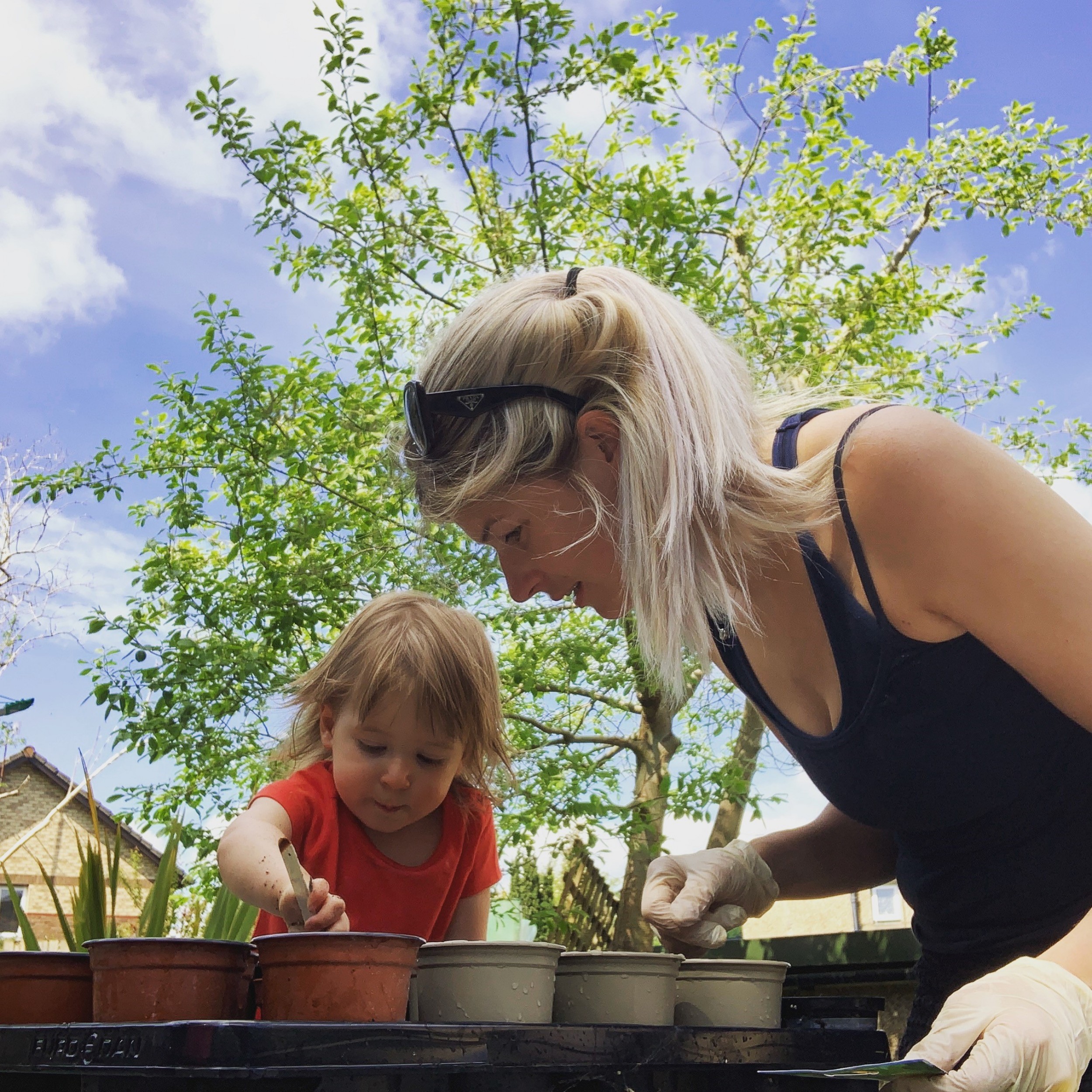 Getting your garden ready for the growing season